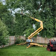 Best Lawn Grading and Leveling  in Troy, IL