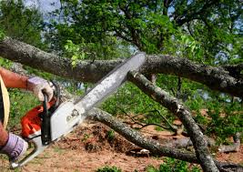 Best Leaf Removal  in Troy, IL